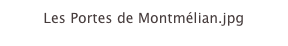 Les Portes de Montmélian.jpg