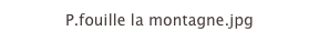 P.fouille la montagne.jpg