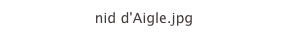 nid d'Aigle.jpg
