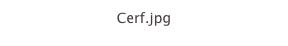 Cerf.jpg