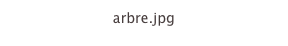 arbre.jpg