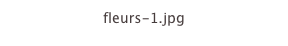 fleurs-1.jpg
