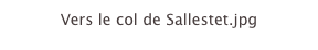 Vers le col de Sallestet.jpg