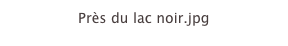 Près du lac noir.jpg