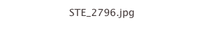 STE_2796.jpg