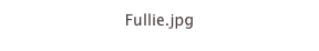 Fullie.jpg