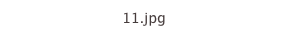 11.jpg