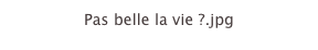 Pas belle la vie ?.jpg