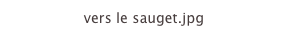 vers le sauget.jpg