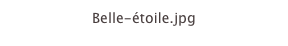 Belle-étoile.jpg