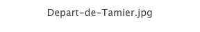 Depart-de-Tamier.jpg