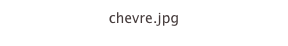 chevre.jpg