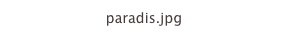 paradis.jpg