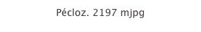 Pécloz. 2197 mjpg