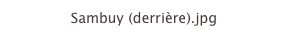 Sambuy (derrière).jpg